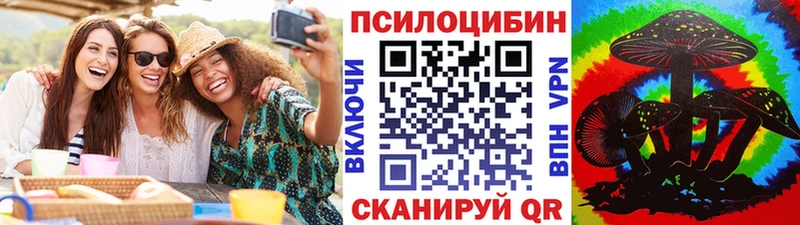 Псилоцибиновые грибы GOLDEN TEACHER  продажа наркотиков  Курганинск 